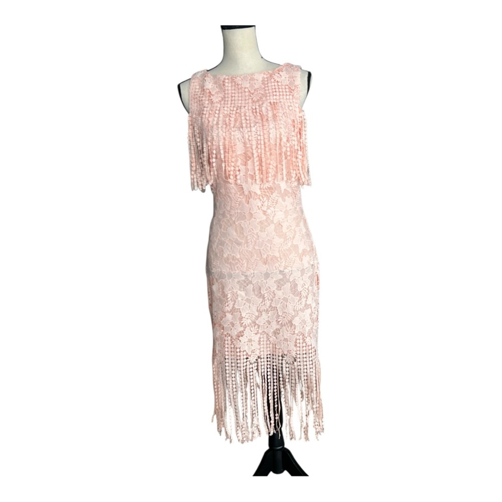ST Studio Blush Pink Floral Lace Fringe Hem & Bodice Sheath Dress Sleeveless Sz6
